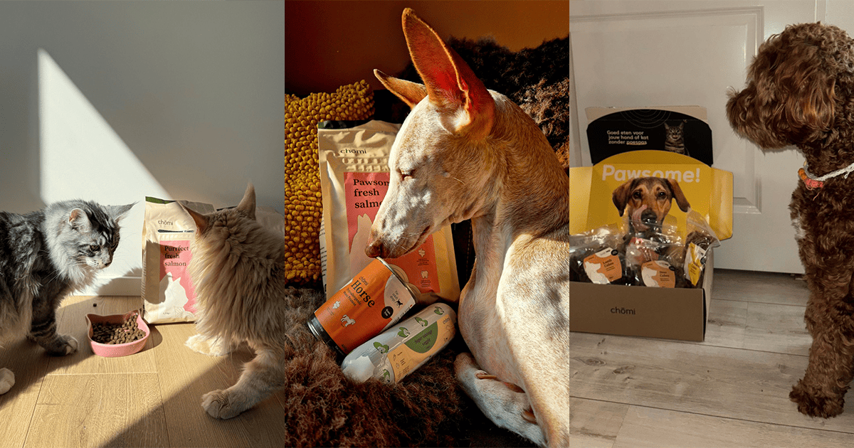 Meer omzet, minder ads: ROAS +700%