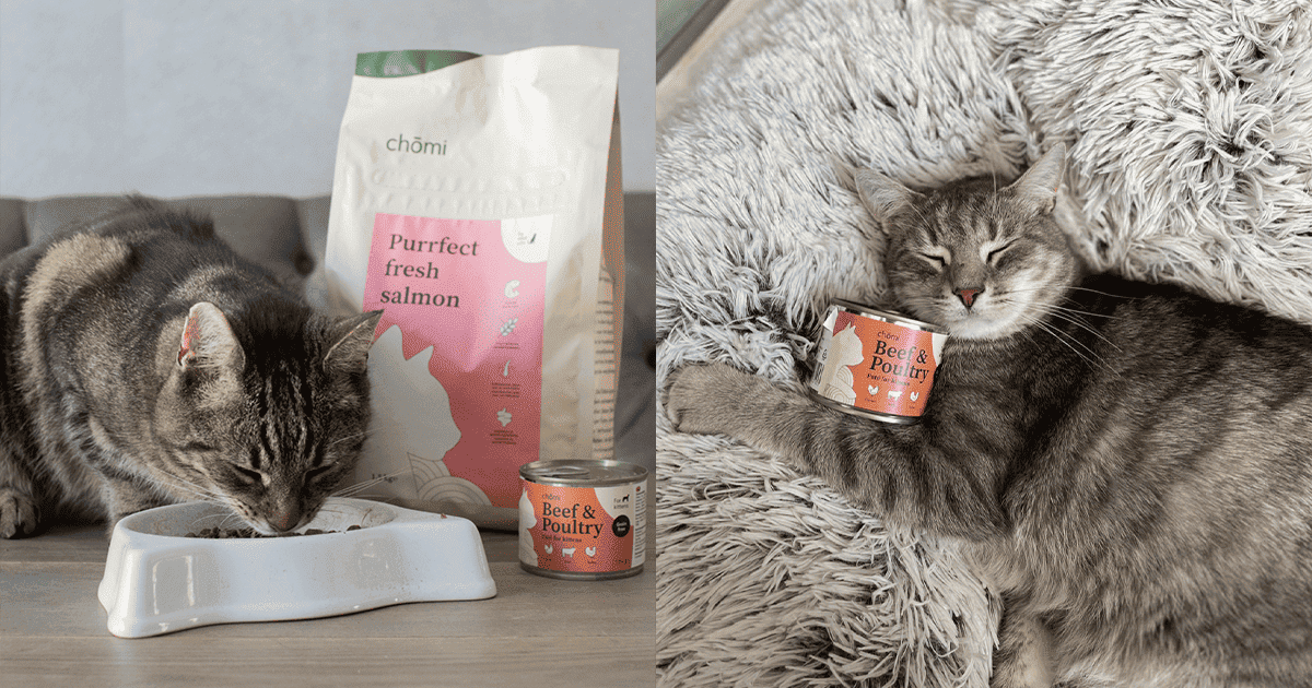 Meer omzet, minder ads: ROAS +700%